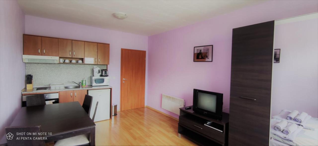 Predela 1 - Studio 10 Near Bansko Ski Lift Экстерьер фото