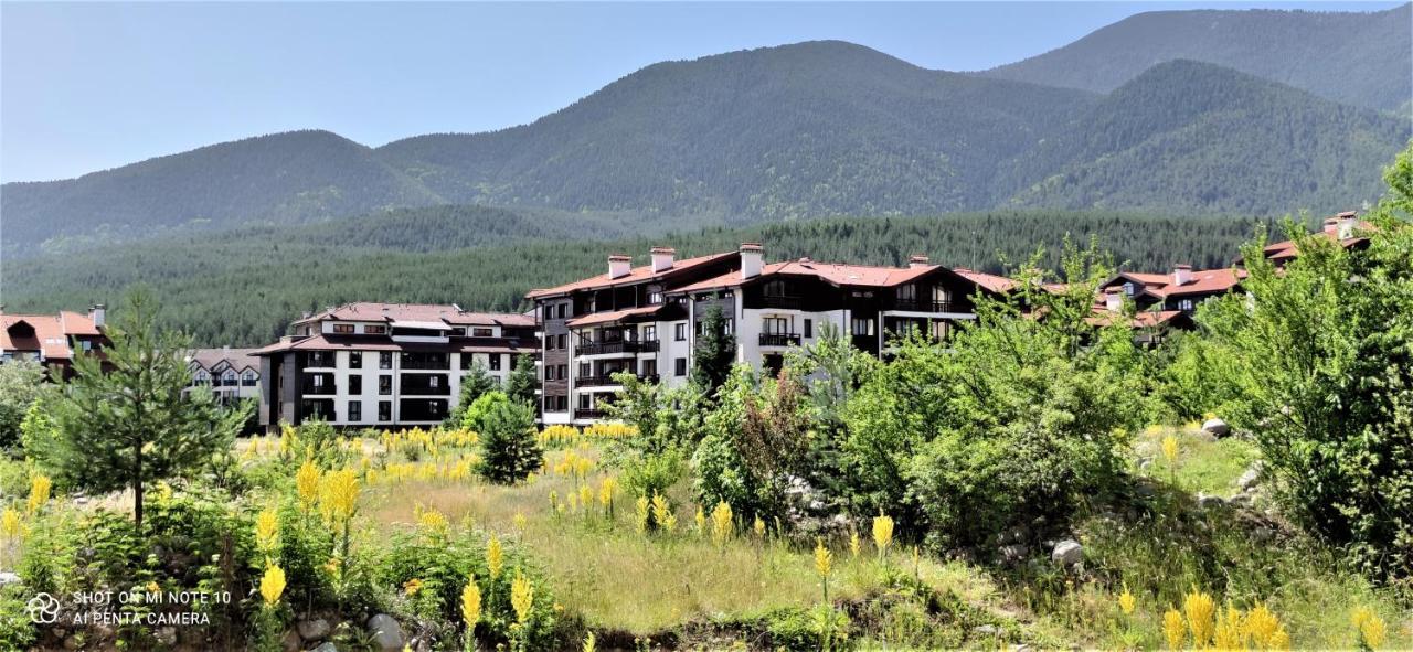 Predela 1 - Studio 10 Near Bansko Ski Lift Экстерьер фото