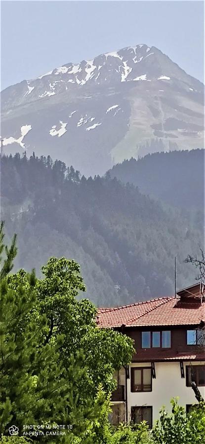 Predela 1 - Studio 10 Near Bansko Ski Lift Экстерьер фото